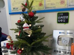 -美联众合动物医院·24h京西诊疗中心