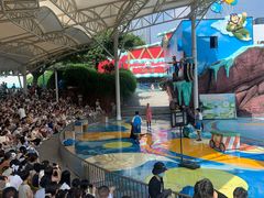 -海合安成都极地海洋公园