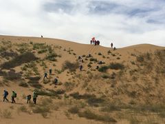 -恩格贝生态旅游区