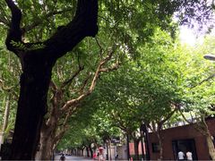 iphone_upload_pic-上海蔡元培故居陈列馆