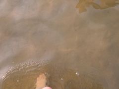 -碧海金沙