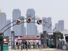 -武汉知音号