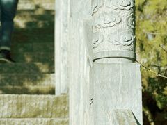 -象山森林公园
