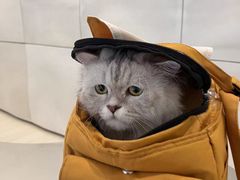-萌兽医馆·眼科·异宠专科(三里屯店)