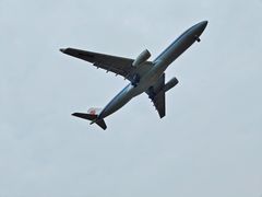 -空港花田景区