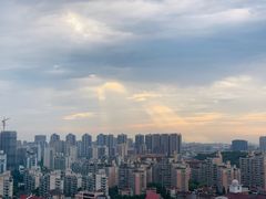 -珍岛信息技术（上海）股份有限公司