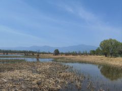 -野鸭湖国家湿地公园