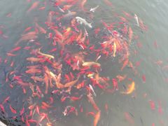 -天津盘山风景名胜区