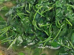 -西山人家·传统苏帮菜·家宴(木渎店)