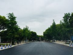 门面-昆山城市生态森林公园