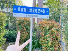 -林丰温泉度假山庄