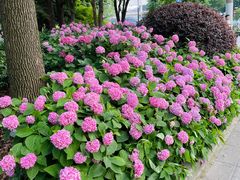 -上海体育场(地铁站)