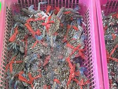 -众味海鲜大排档·活海鲜·潮汕味(南澳店)