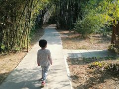 -开平碉楼文化旅游区马降龙景区