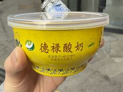 -德禄酸奶(莫家街店)