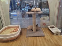-凯德广场(金牛店)