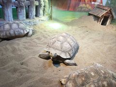 -华夏文旅海洋公园