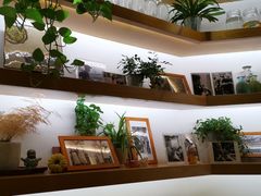 -十二舍·湯物素煮(江泰潤政店)