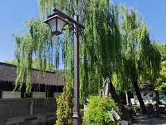 -鲁镇