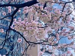 -红星桥(地铁站)