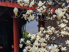 -堤角公园