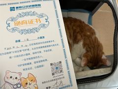 -美联众合动物医院·24h京西诊疗中心