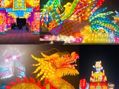 -恐龙人俱乐部
