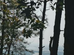 -滴水岩森林公园