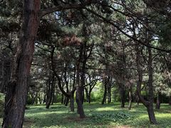 -沈阳植物园
