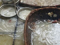 -三兄弟鲜羊肉