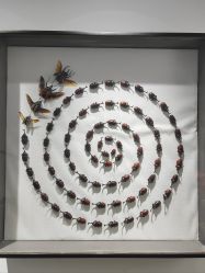 -酷嗒动物文化乐园(cutezoo西溪乐天城店)