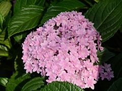 -常州古运河南大街文化旅游区-人民公园