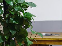 -菌极鲜野生菌火锅店(阳明祠店)