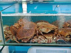 -港畔赶海蒸汽海鲜烧烤自助(仙螺岛店)