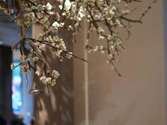 -梅花境(万科店)