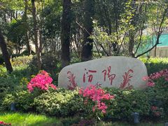 -上海汾阳花园酒店