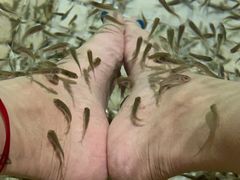 -春晖园度假酒店温泉