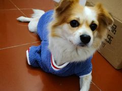 -萨莉亚意式餐厅(深圳北站店)