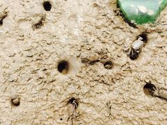 iphone_upload_pic-汤山公园