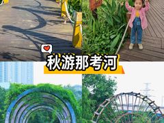 -那考河湿地公园