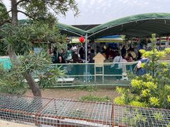 -麻涌飞鸭开心农场