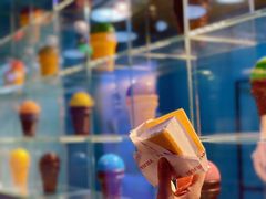 -沃洛格达(万象城n次方店)