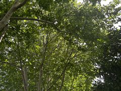 -天鹅湖体育公园