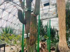 -北京植物园-展览温室