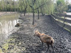 -溱湖国家湿地公园