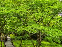 -三千院