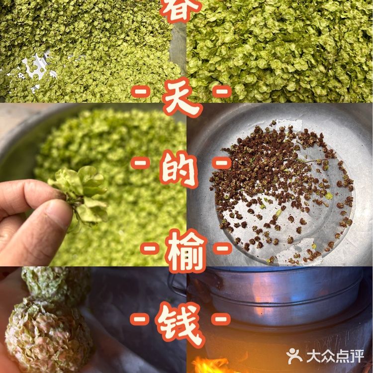 也是吃上了亲自做的榆钱馒头👍