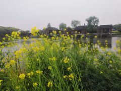 -同里国家湿地公园