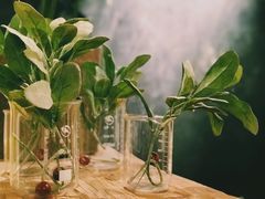 景观位-花蒲甜品(海信广场店)