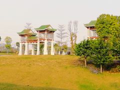 -王借岗森林公园